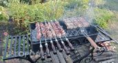 Забудьте про свинину для пикника: врачи назвали доступное мясо для здоровья сердца и чистых сосудов