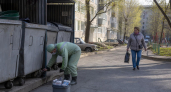 Крысы заполонили дворы Владивостока: администрация требует дератизации