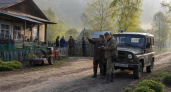 Молодые тигры ищут территорию и выходят к сёлам Приморья