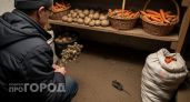 Забудьте про отраву и ловушки: эти простые домашние хитрости заставят крыс покинуть ваш дом навсегда