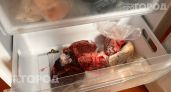 Вы просто выбрасываете деньги: 5 продуктов, которые превращаются в полную негодность после морозилки