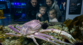 Рыбаки поймали краба-стригуна с перламутровым окрасом — один на десять тысяч