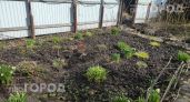 Больше никакой боли в спине: приспособила шуруповерт для прополки грядок и теперь справляюсь за пять минут