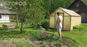 Всего минута с белой тканью на газоне: так я нахожу скрытых клещей и спасаю свой участок от опасных гостей