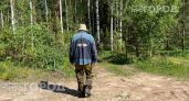 Мошка прокусывает одежду и не дает покоя: смешайте эти два аптечных компонента для защиты на весь день