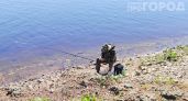 Комары исчезнут с участка за минуту: простой способ защиты из аптеки который эффективнее любой магазинной химии