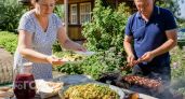 Забудьте про тяжелые гарниры к мясу: этот простой рецепт из молодой капусты гости просят готовить постоянно