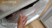 Хватит выбрасывать испорченную зелень: мой способ заморозки сохраняет вкус и аромат свежим до самой весны