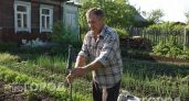 Больше никаких укусов на даче: простой трюк с обычным носком на палке избавит от комаров за секунды
