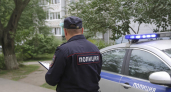 Тигр-правопорядок за неделю проверил более 20 человек на улицах Владивостока
