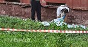 Тело 12-летней девочки нашли на чердаке дома в приморском поселке: задержан 12-летний мальчик