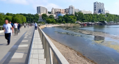 Спортивную гавань Владивостока затянуло тиной после аномально теплого мая
