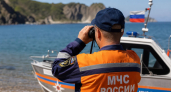 Опасные акулы аномально рано подошли к туристическим местам Приморья