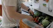 Хватит выбрасывать гнилые овощи: копеечное средство из аптеки заставит продукты храниться в разы дольше