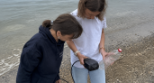 Учёные отобрали пробы воды в бухтах Владивостока для лабораторного анализа