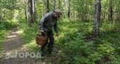 Где искать грибы в Приморье: проверенные места