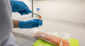 Во Владивостоке за июнь проверили более 10 тыс. тонн рыбы и морепродуктов