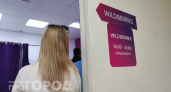 Реальные цифры продавца Wildberries: почему товары станут недоступными для большинства покупателей в этом году