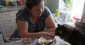 Вы невольно убиваете своего питомца: уберите из рациона эти привычные продукты прямо сейчас