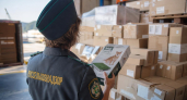 В Приморье приостановили продажу более шести тонн лакомств для собак из Китая