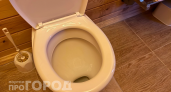 Выливаю остатки этого средства в унитаз и чайник перед сном: утром налет исчезает без единого усилия