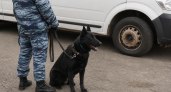 Во Владивостоке завели дело после ложного сообщения об угрозе в детском центре