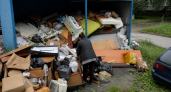 Свалка с крысами и вонью неделями растёт у дома на Красного Знамени