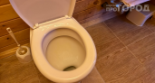 Перестаньте сливать остатки супа в унитаз: сантехники объяснили, к каким серьезным поломкам это приводит
