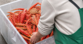 Жительница Владивостока показала набор морепродуктов для родни почти за 27,5 тысячи рублей