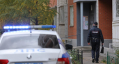 Во Владивостоке вынесли приговор мужчине за щенка, выброшенного с четвертого этажа