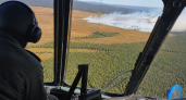 Пожар в Приморье после удара молнии вырос до 170 гектаров