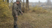 В Приморье подтвердили 77 случаев конфликтов с медведями, 36 — у населенных пунктов