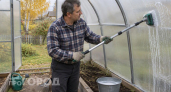 Забудьте о фитофторе весной: сделайте эти пять простых вещей в теплице до морозов и забудьте о болезнях
