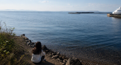 Во Владивостоке в бухту Фёдорова могли зайти киты длиной до 10 метров