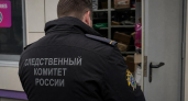 Бастрыкин запросил доклад по проверке нападения на несовершеннолетнюю сотрудницу ПВЗ в Артёме