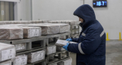 В Приморье 57 тонн сельди отправили на дозаморозку из-за нарушения температурного режима
