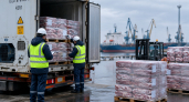 Импорт мяса в Приморье превысил 40 тысяч тонн: основные поставки идут из Китая и Бразилии