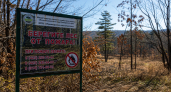 В Приморье возвращается тепло до +16 °C: синоптики дали подробный прогноз на четверг