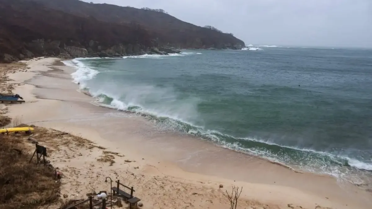 ИИ встал на защиту редчайших птиц от браконьеров на острове Фуругельма