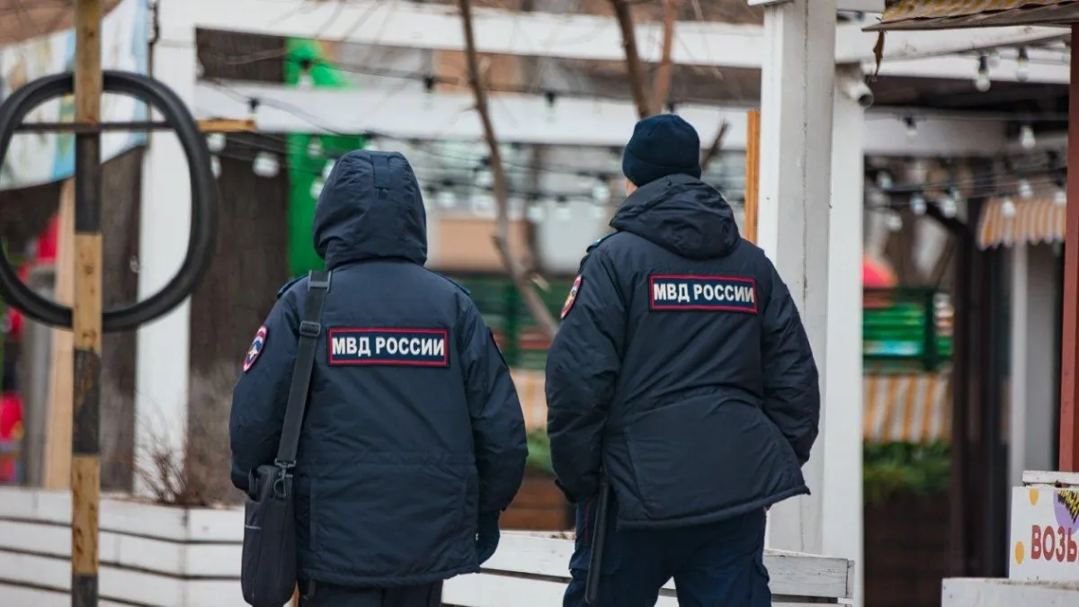 В Артёме второй раз за неделю нашли убитых собак