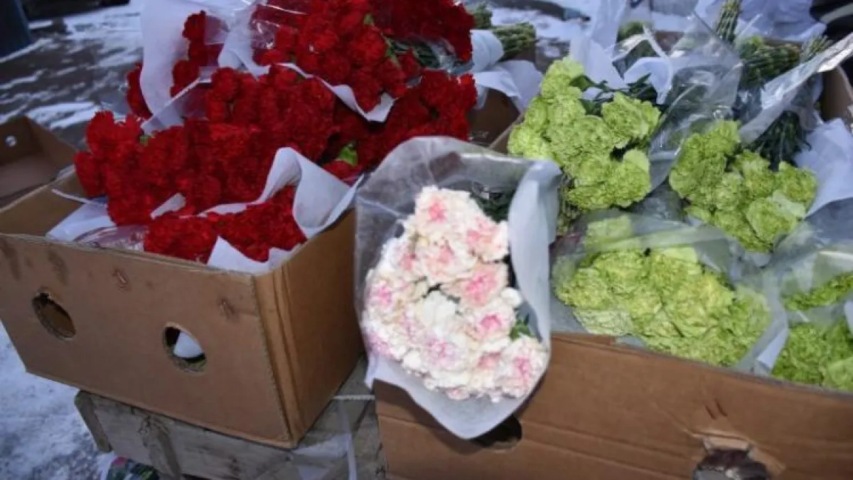 283 тысячи цветов из Китая заражены опасным вредителем