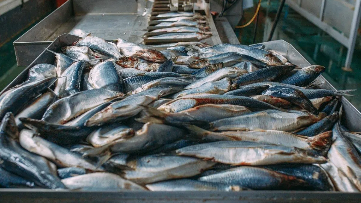 Владивостокский порт получил доступ к 220-миллионному рынку Бразилии