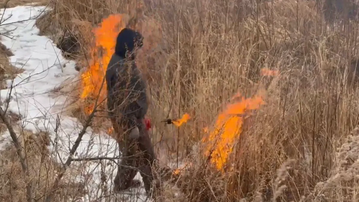 В Приморье поджигают леса, чтобы спасти дома от огня