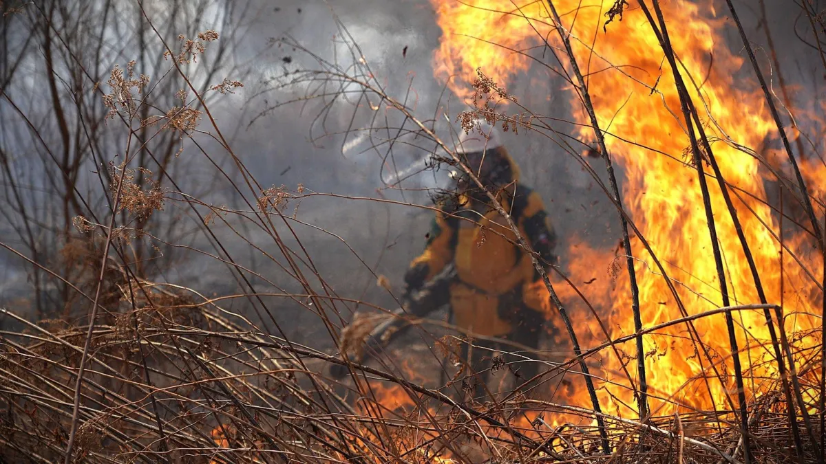 116 спасателей тушили настоящий пожар в учебных целях