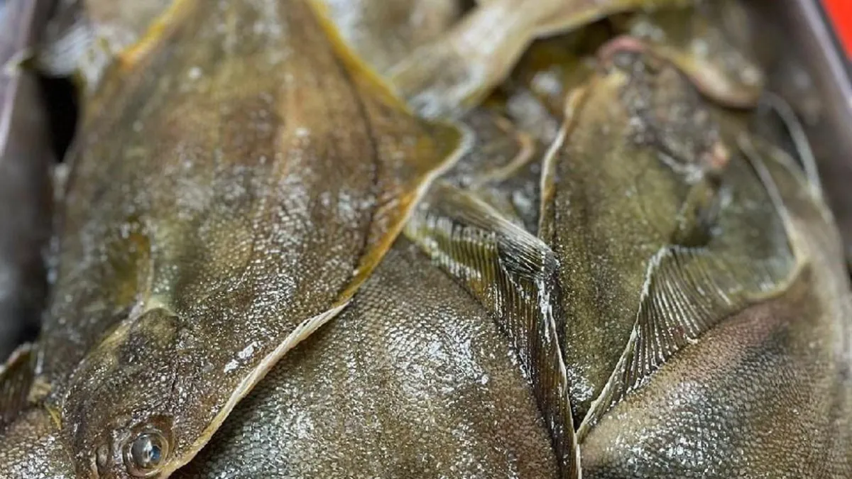 Почти 300 партий рыбы за неделю: Дальний Восток наращивает экспорт
