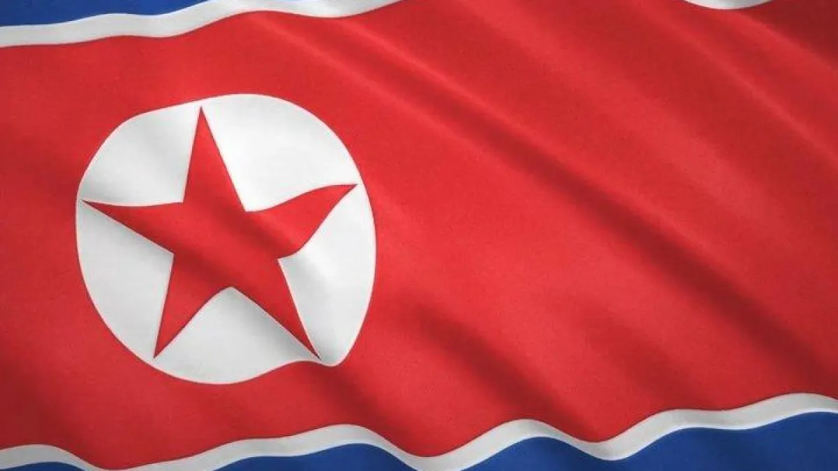 Россия и КНДР строят завод во Владивостоке вопреки санкциям ООН