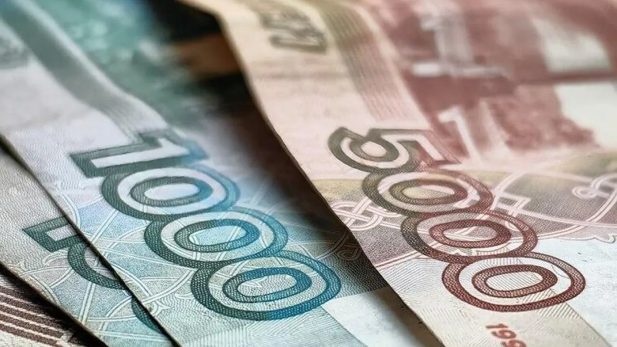 Многодетным семьям Владивостока предложили 1,08 млн рублей за отказ от земли