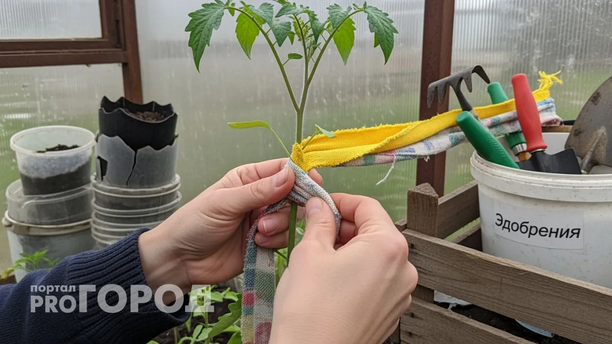 Тканевые обрезки превращаю в такие нужные штуки, что подруги записывают каждый шаг