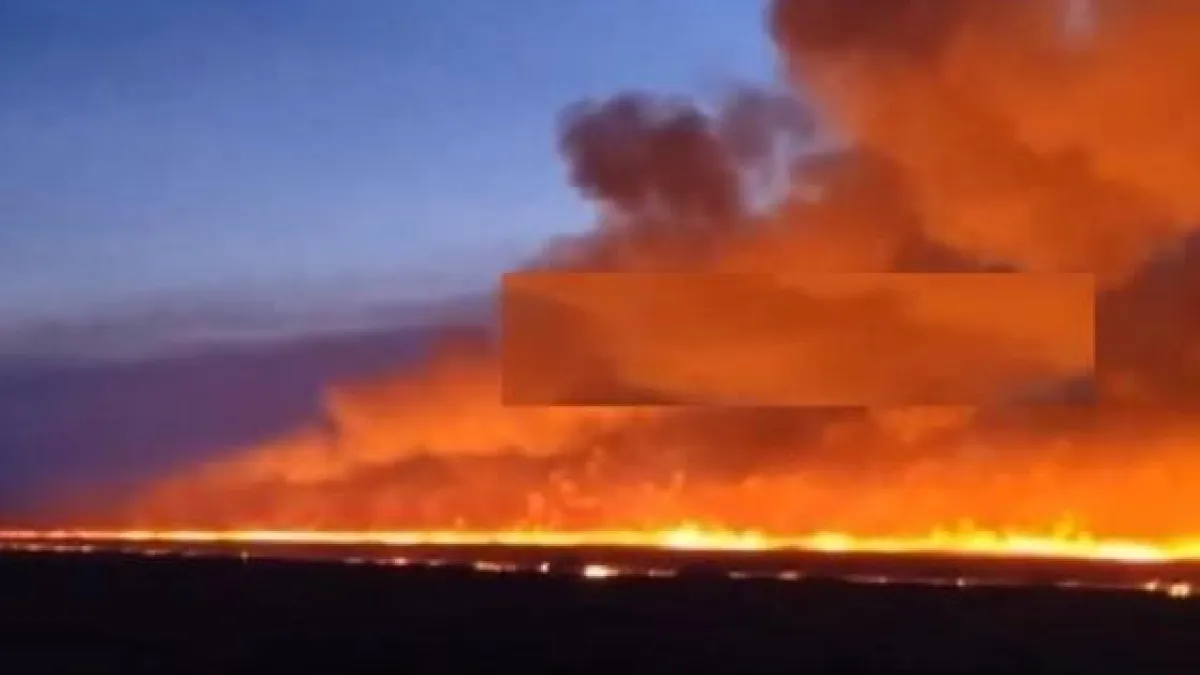 90-й пожар за год: Приморье охватил огненный кошмар