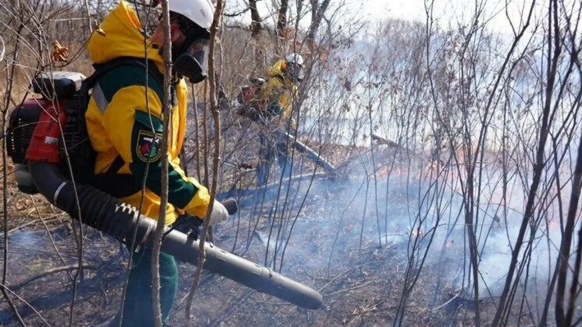 20 авиапожарных экстренно вылетели тушить 90 гектаров горящего леса